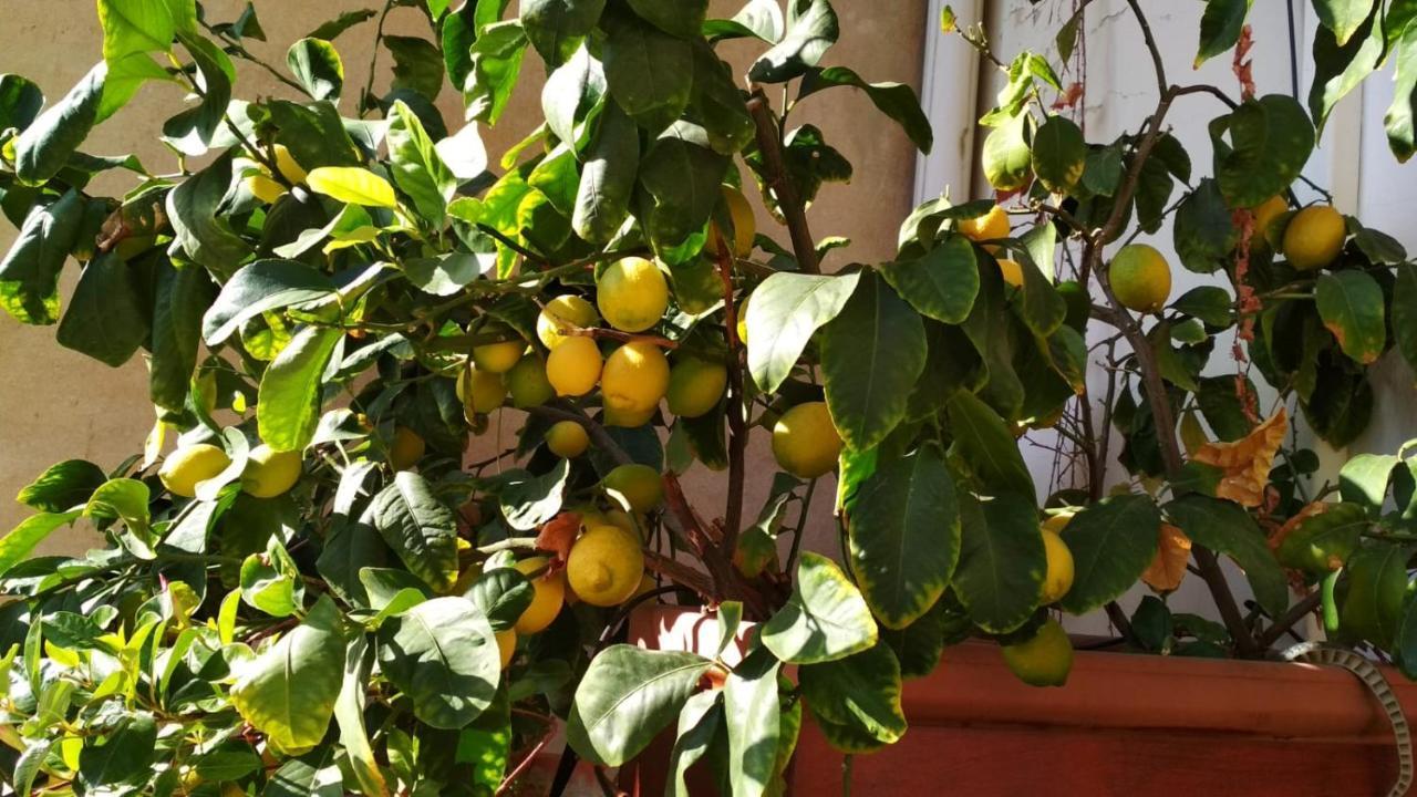 La Casa Dei Fiori Daire Floransa Dış mekan fotoğraf